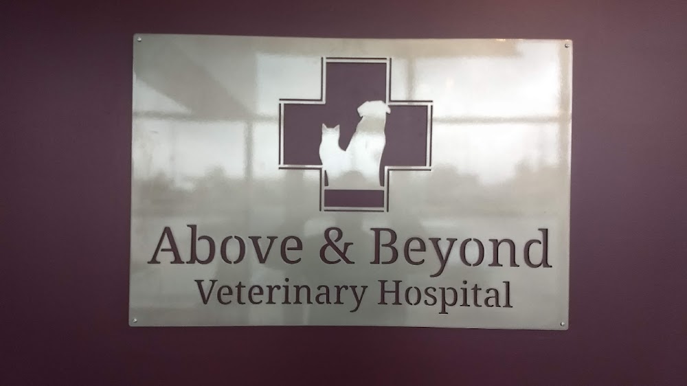 Above & Beyond Veterinary Hospital